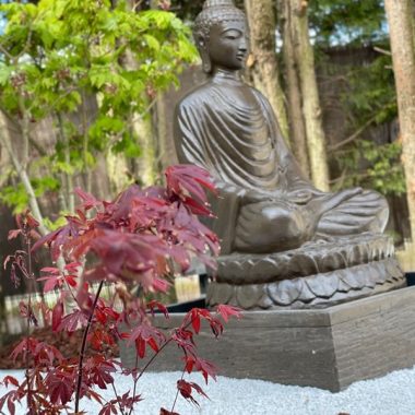 © Jardin Zen japonais - <em>Xavier Ruffenach</em>
