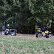 © L'Orée des Bois - <em>Gîtes de France</em>