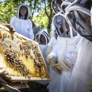 © Village Huttopia Pays de Condrieu - <em>©Manu Reyboz</em>