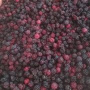 préparation framboises